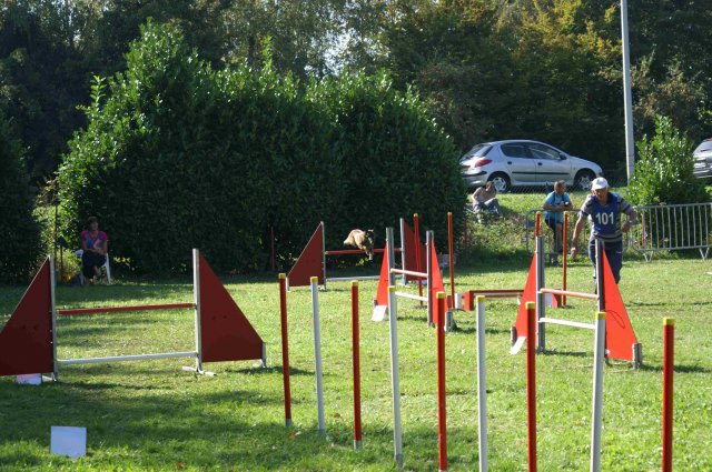 agility verriere 2011-10-01